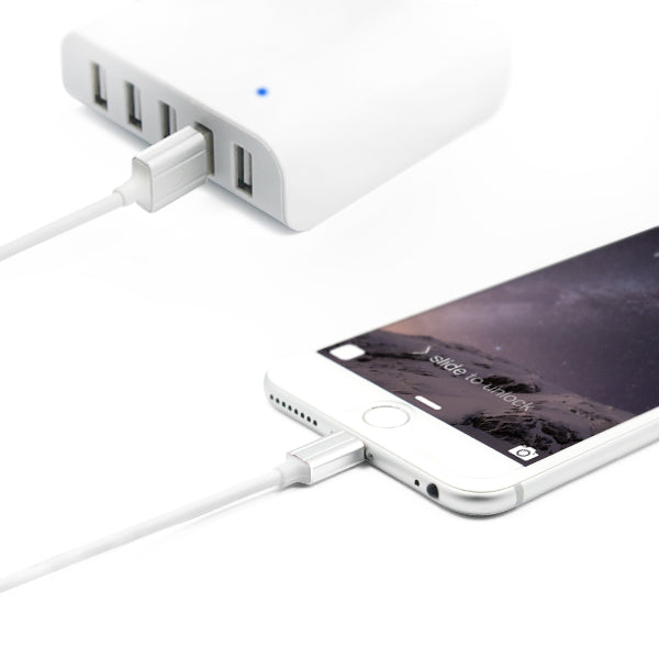 Kiwi Bird Apple MFI Certified Usb Cable For iPhone